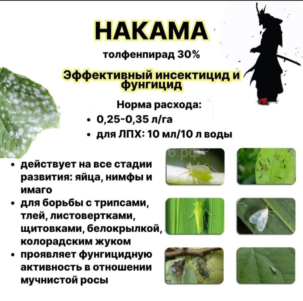 Накама (инсектицид) фото 1 &mdash; Интернет-магазин 